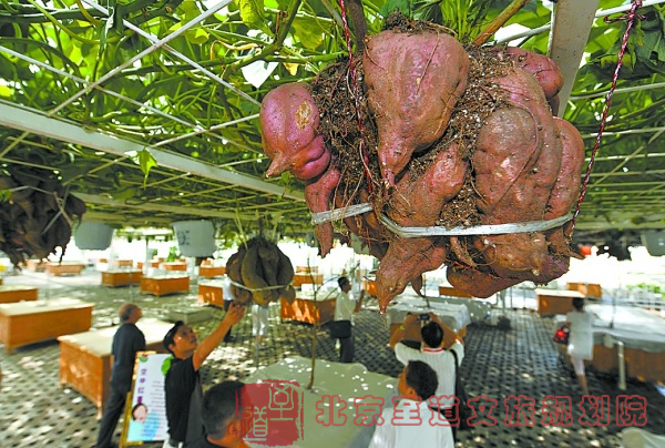 clip_image031.png clip_image031.png